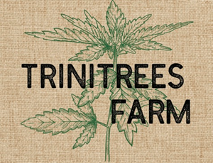 Trinitrees - Jelly Donutz Preroll - 1g