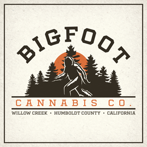 Bigfoot Cannabis Co - Raspberry Lemonade Gummies - 100mg