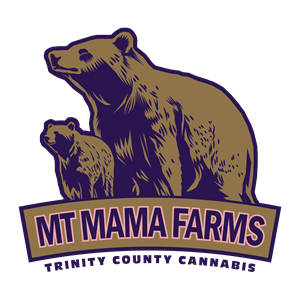 Mt Mama Farms x Buddies - Strawberry Biscotti Terp Sugar - 1g