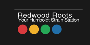 Redwood Roots - Blue Andeze Flower - 3.5g