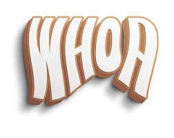 WHOA - Peanut Butter Chocolate Bar - 100mg